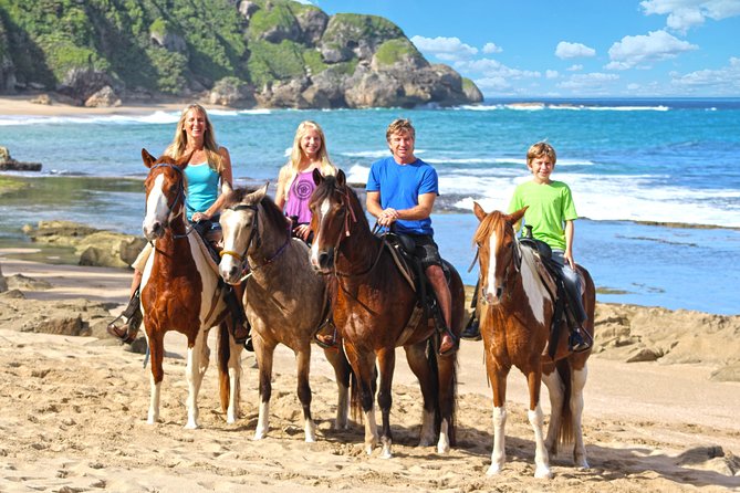 Horseback Riding in Puerto Rico On Secluded Beaches, Tropical Forests