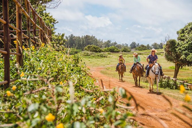 Oahu Horseback Ride Like an Authentic Paniolo in Kahuku