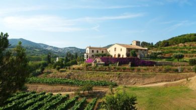 best barcelona winery tours