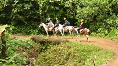 best costa rica horseback riding tours