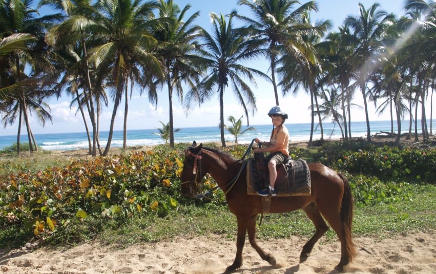 best horseback riding in oahu