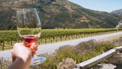 best madrid winery tours