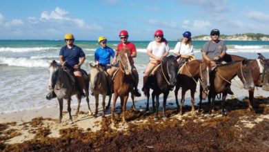 best oahu horseback riding