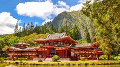 best oahu island tours