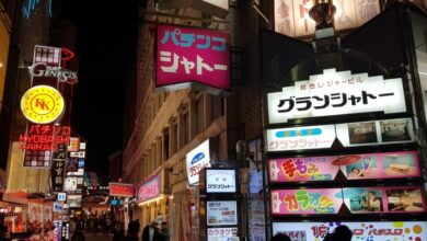 best osaka food tours