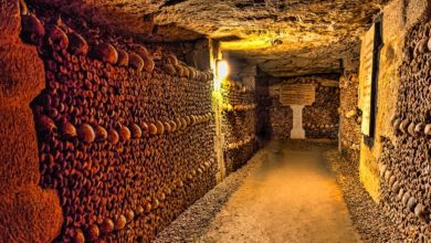 best paris catacombs tour