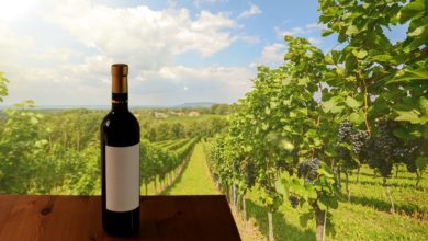 best san francisco wine tours