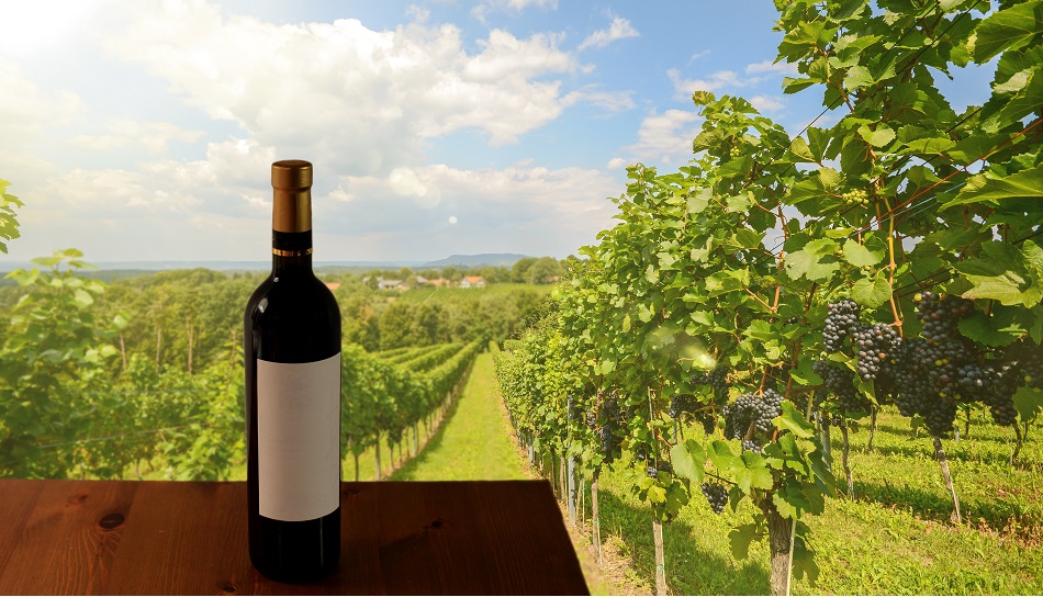 best san francisco wine tours