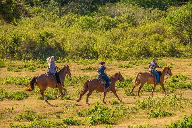 Oahu Private Advanced Trail Ride