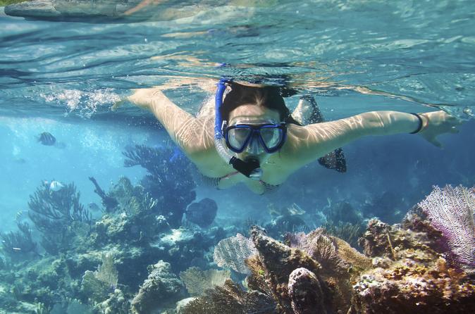 Cozumel Snorkeling Tour: Palancar, Columbia and Cielo Reefs