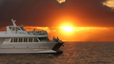 best sunset dinner cruise in maui