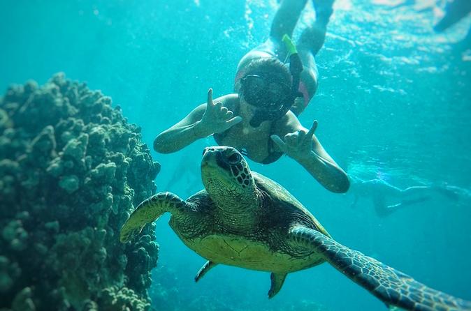West Maui Snorkeling Adventure